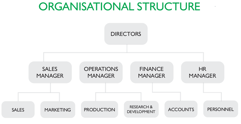 Organisational Structure